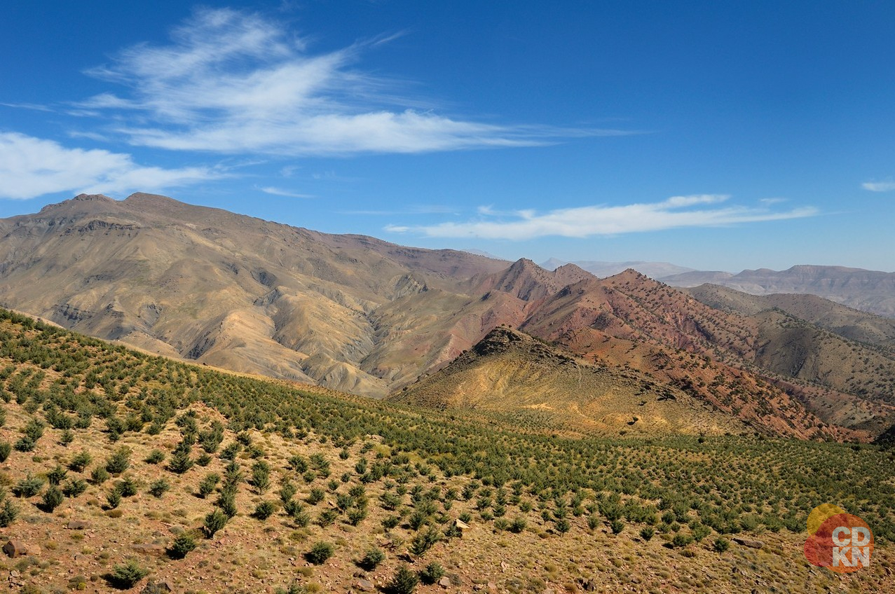 Reforestation Morocco