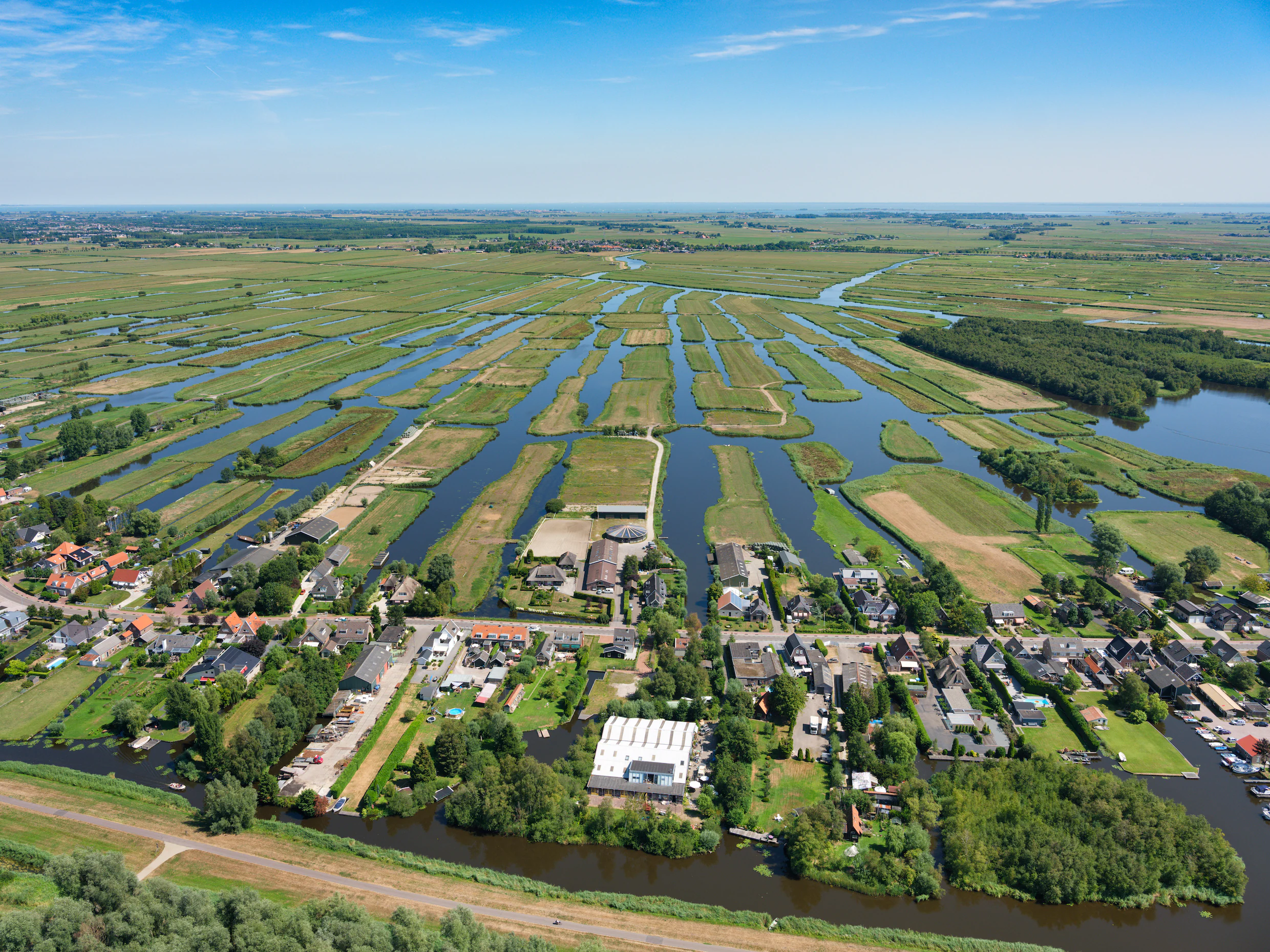 Dutch Wetland Restoration